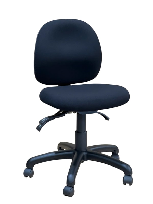 Petite Ovica Ergonomic Office Chair